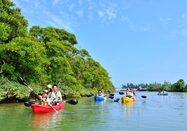 ＜恩納村発・半日コース＞億首川（おくくびがわ）マングローグカヤックツアー！大自然のマングローブを楽しむ