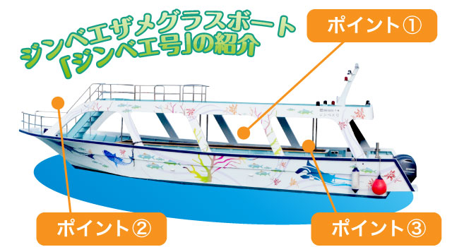 沖縄初ジンベエザメ グラスボート 餌付けショー付き たびんふぉ沖縄マリンスポーツ 沖縄初ジンベエザメ グラスボート 餌付けショー付き たびんふぉ沖縄マリンスポーツ